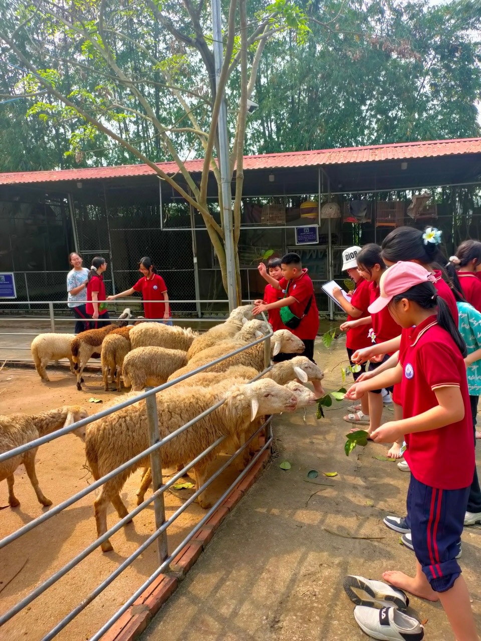 D:\Van phong\Ảnh\2023-2024\27. Tham quan Thành cổ Sơn Tây - Glory resort\z5327409178283_2d366f79ba6b827ac2ebc383da52b9f9.jpg
